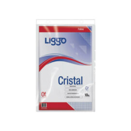 Folio OFICIO x 10u