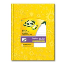 Cuaderno Éxito E3 TD - 19x24 amarillo 100 hjs rayadas