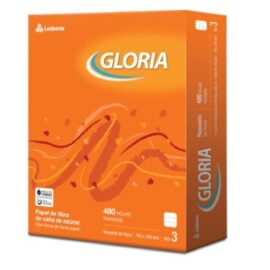 Repuesto Gloria N°3 x 480 hjs cuadriculadas